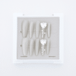 CLOU-NAUILS-2_0166_DSCF2329